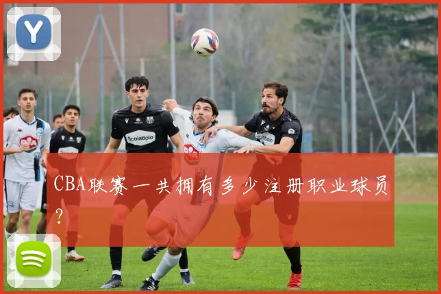 CBA联赛一共拥有多少注册职业球员？