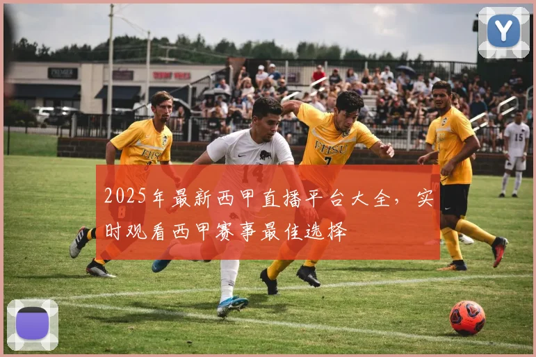 2025年最新西甲直播平台大全，实时观看西甲赛事最佳选择