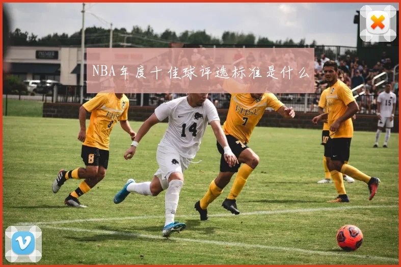 NBA年度十佳球评选标准是什么