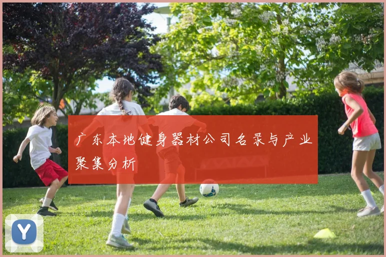 广东本地健身器材公司名录与产业聚集分析