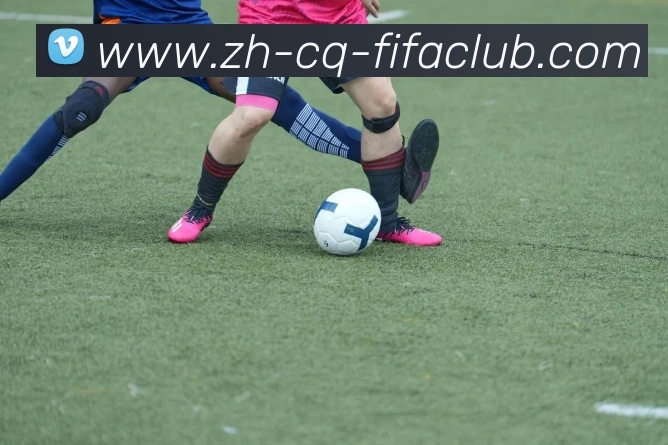 火箭队2005年球员名单回顾及球队变化解析