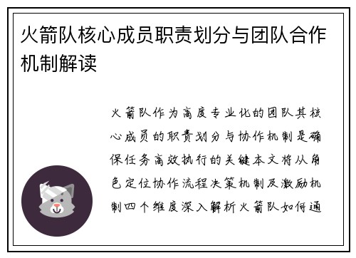 火箭队核心成员职责划分与团队合作机制解读